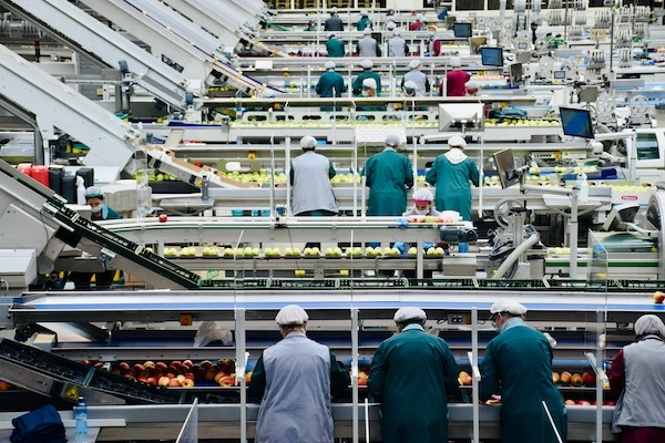 Línea de producción automatizada con operarios trabajando en planta manufacturera moderna